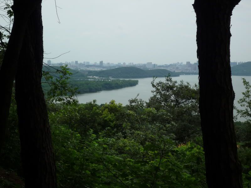 P1080051.jpg