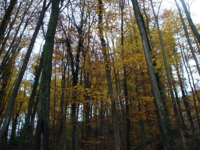 DSC01020.jpg