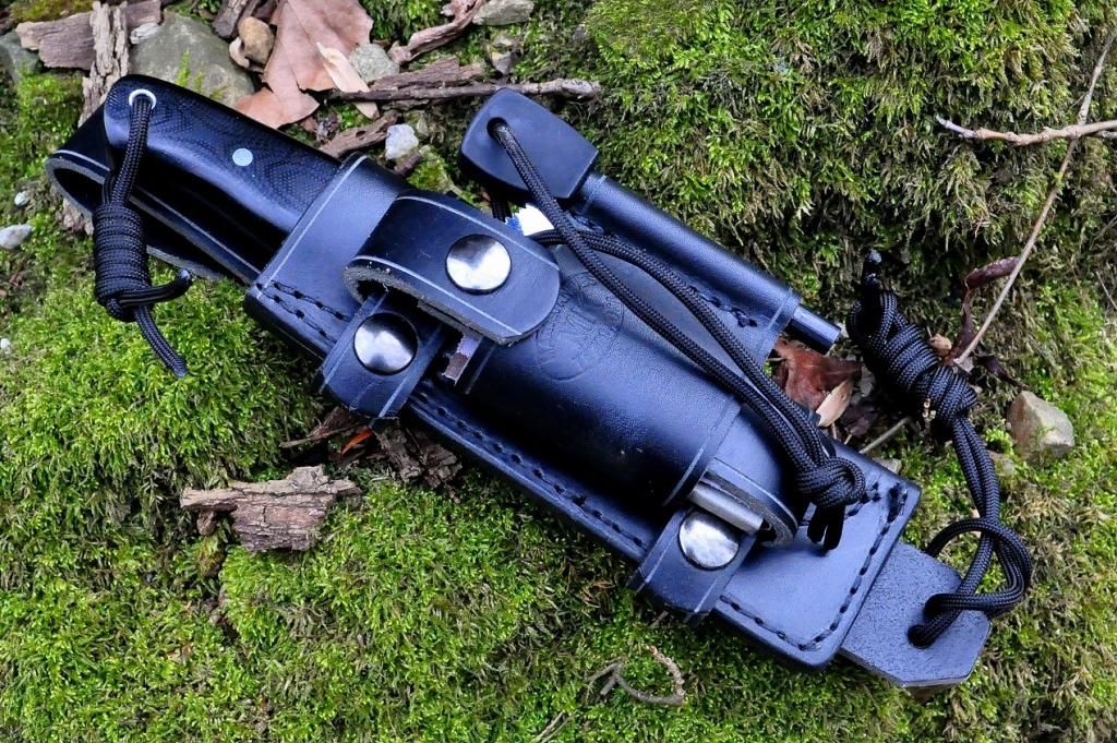 SR-25.jpg