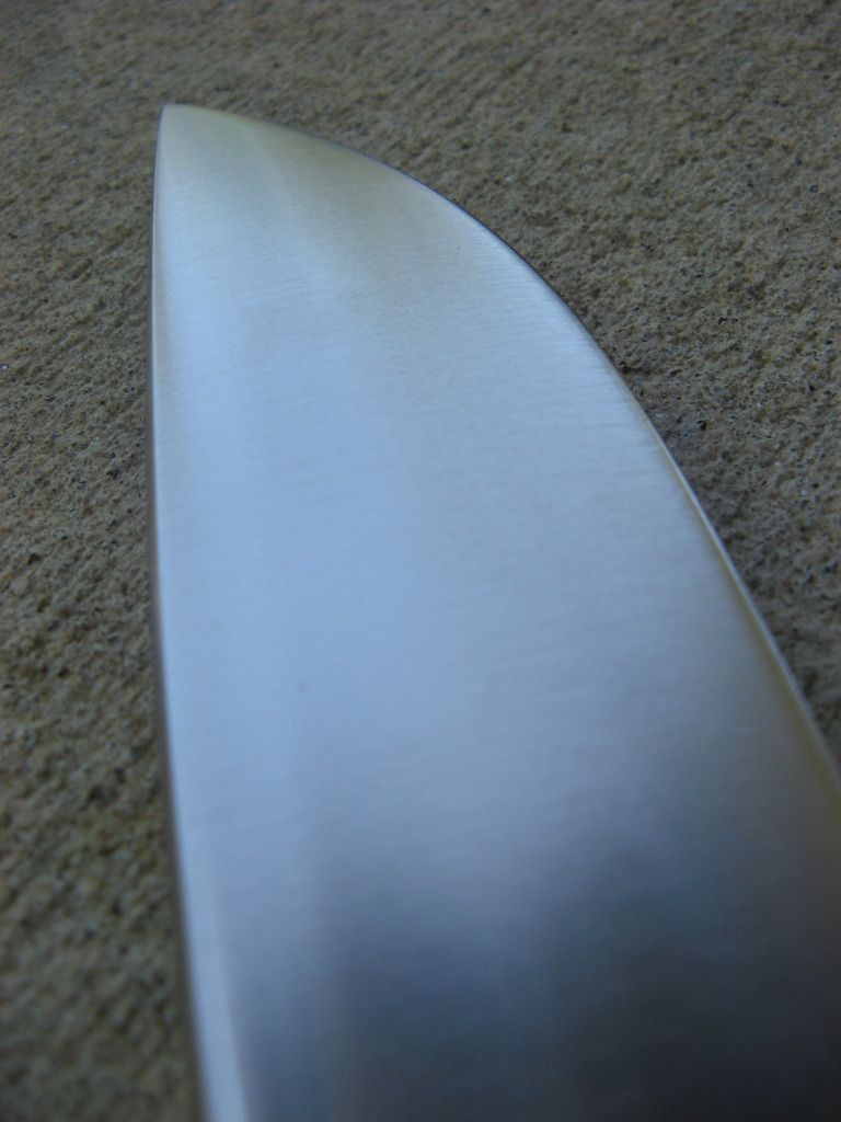 SAR6.jpg