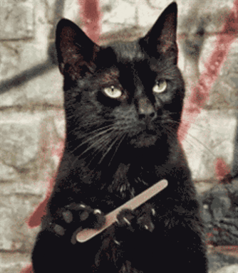 tumblr_myio2shHOb1t96dyxo1_400.gif