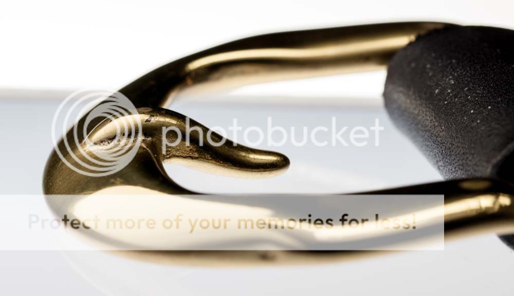 buckle_closeup.jpg~original