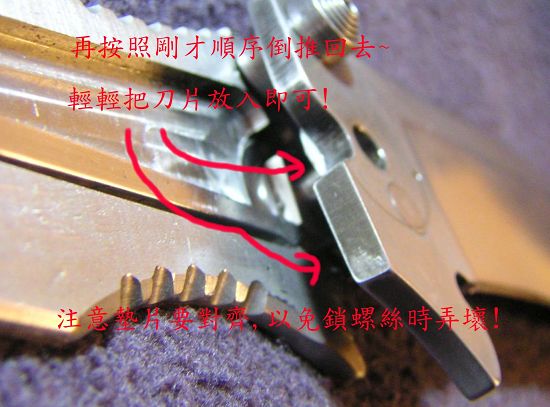 445672729_7b940ef657_o.jpg