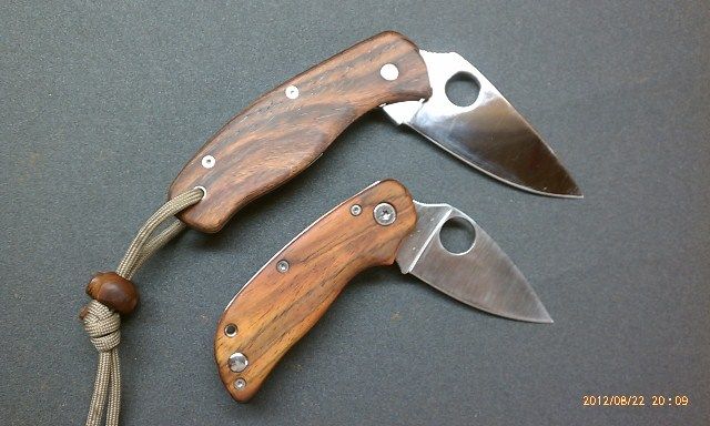 SpydercoCocoAlt2.jpg