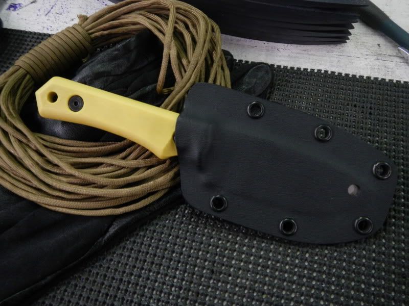 DSCN0603.jpg