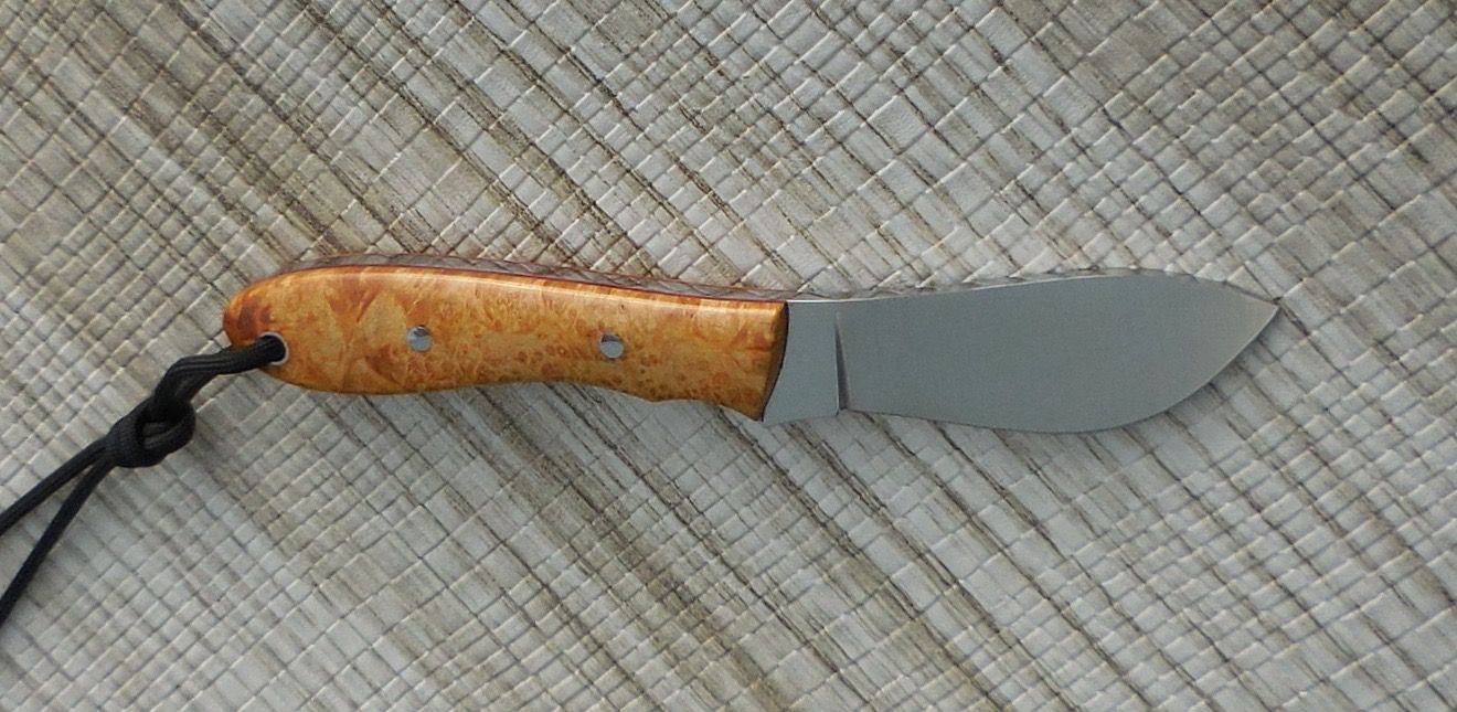 DSCN6725_zpsemur0j90.jpg