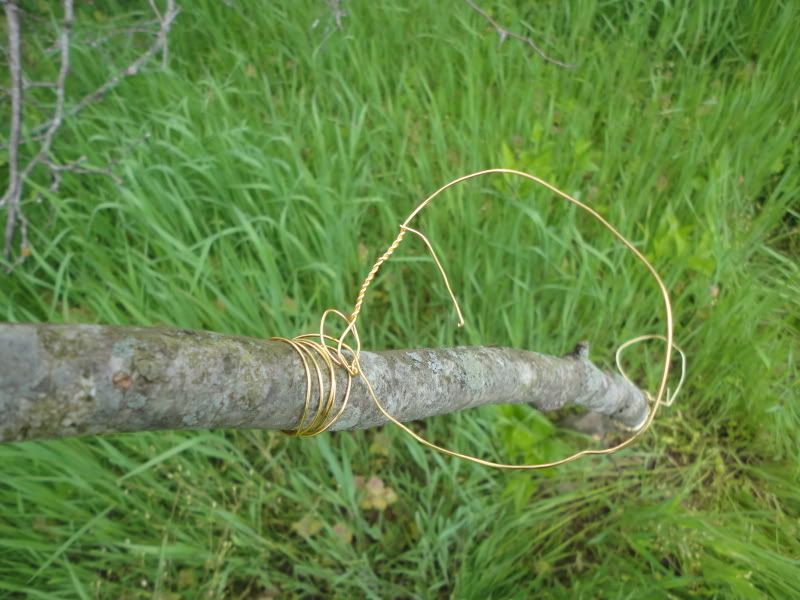bushclass083.jpg