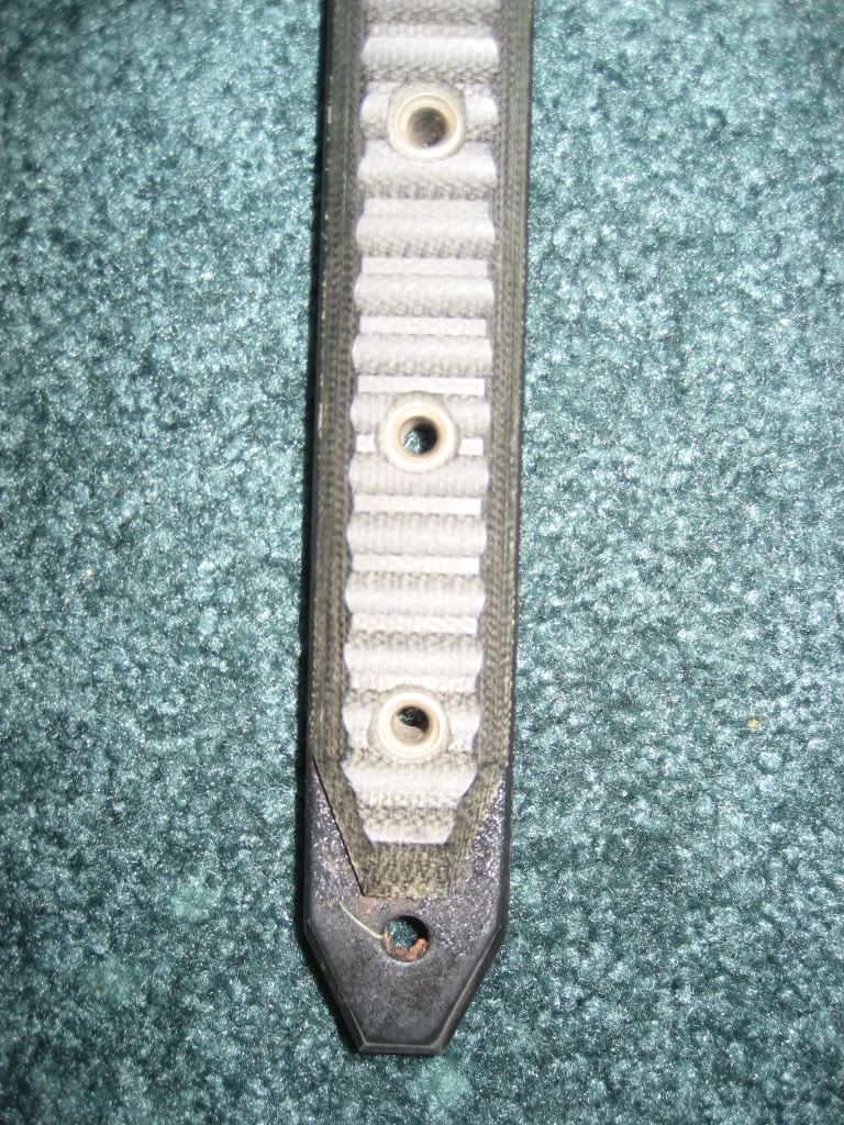 Picture007-17.jpg