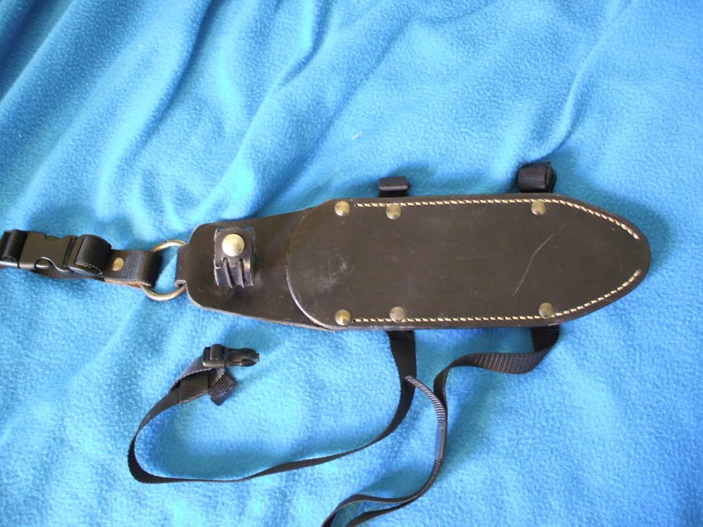 2009_0607Image0014.jpg