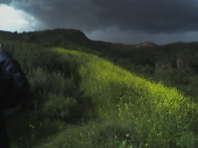 95ff635c.jpg