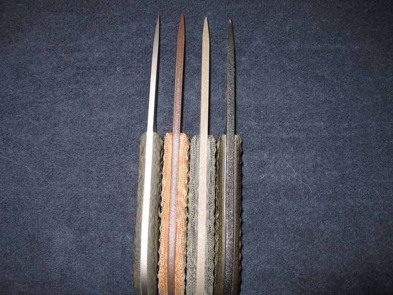 spines_1.jpg