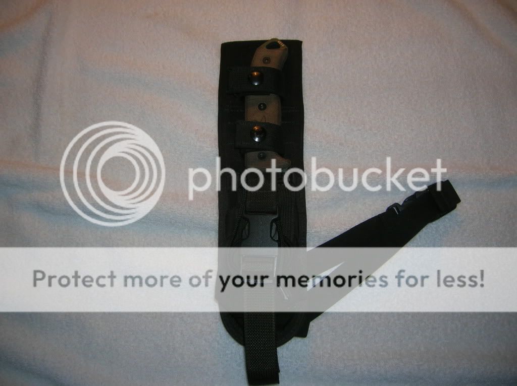 DSCN1211.jpg