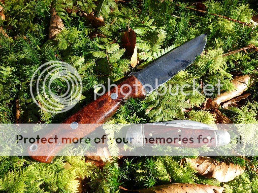 Geppetto_25_small_zpseobcrfm4.jpg