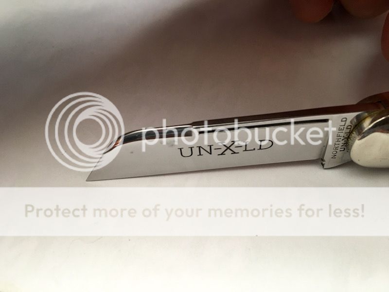 IMG_6371.jpg~original