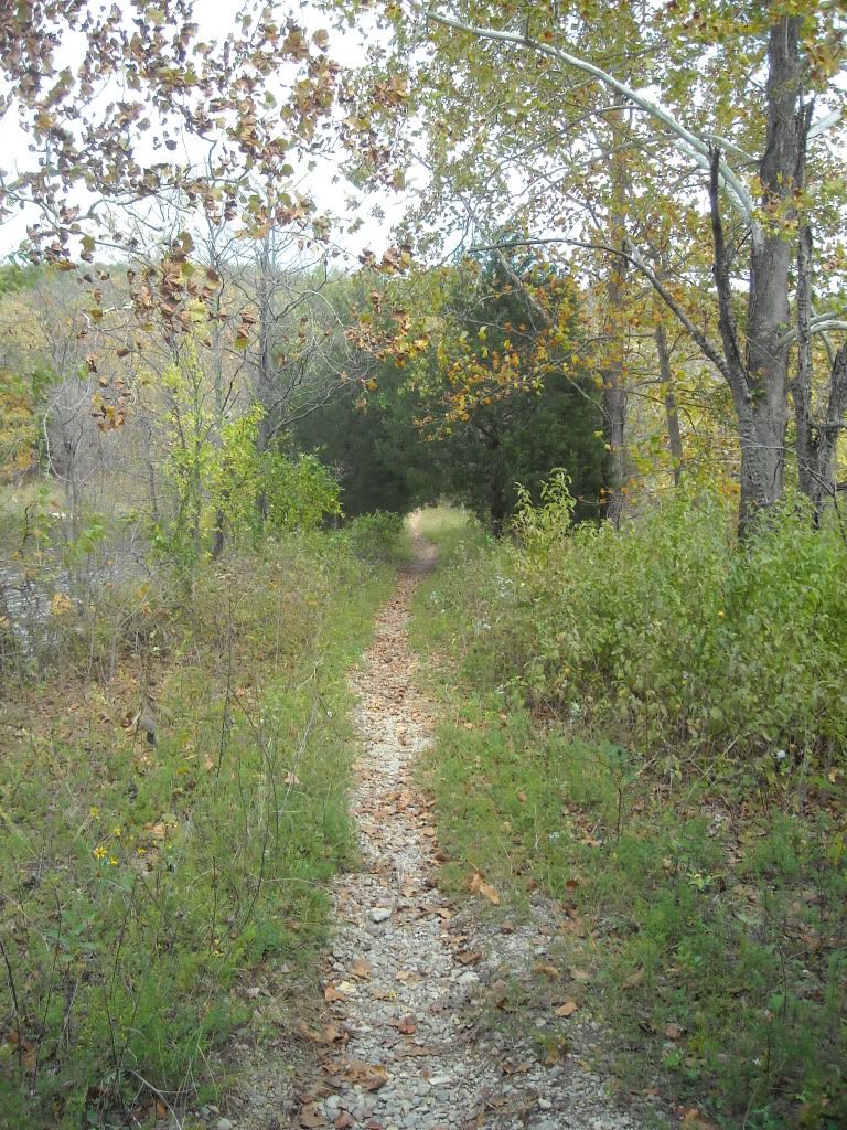 DSCN1228.jpg