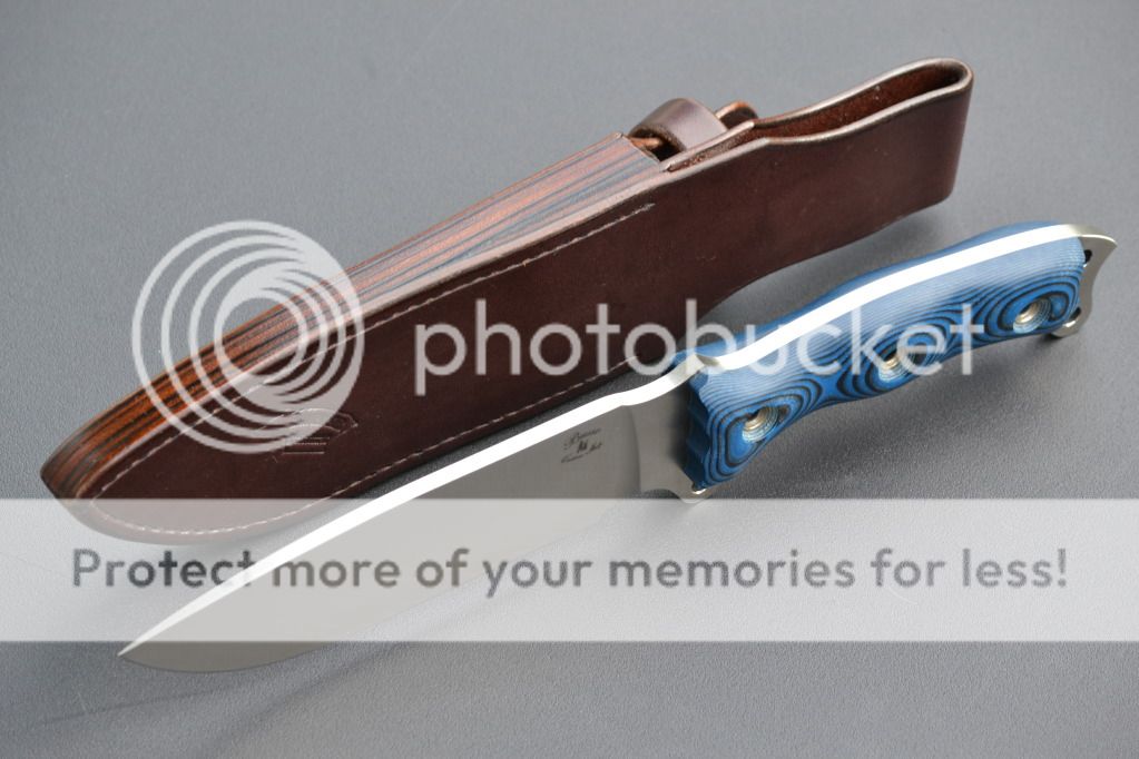 DSC_1070_zpse8c367c7.jpg