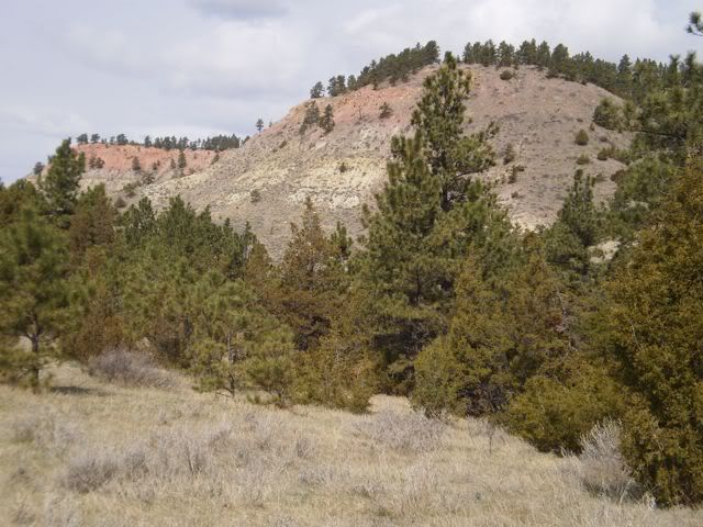 scenery.jpg