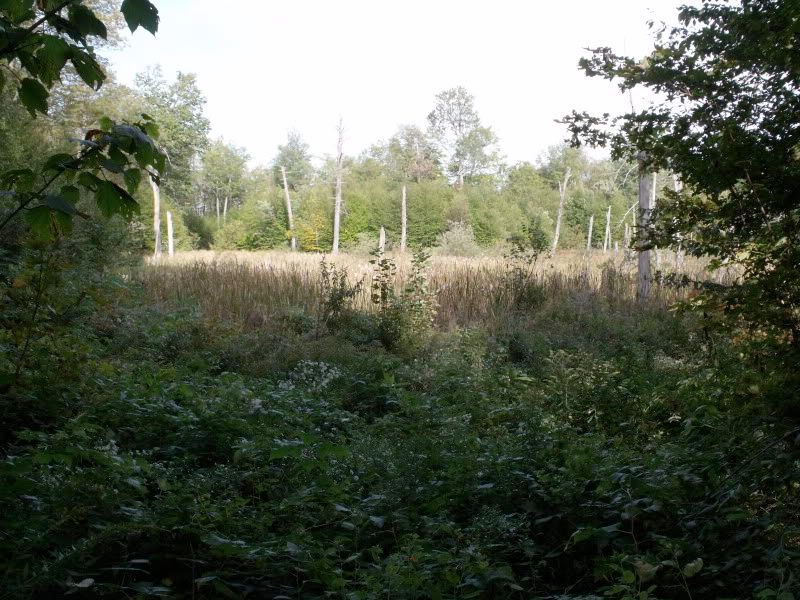 DSCF3867.jpg