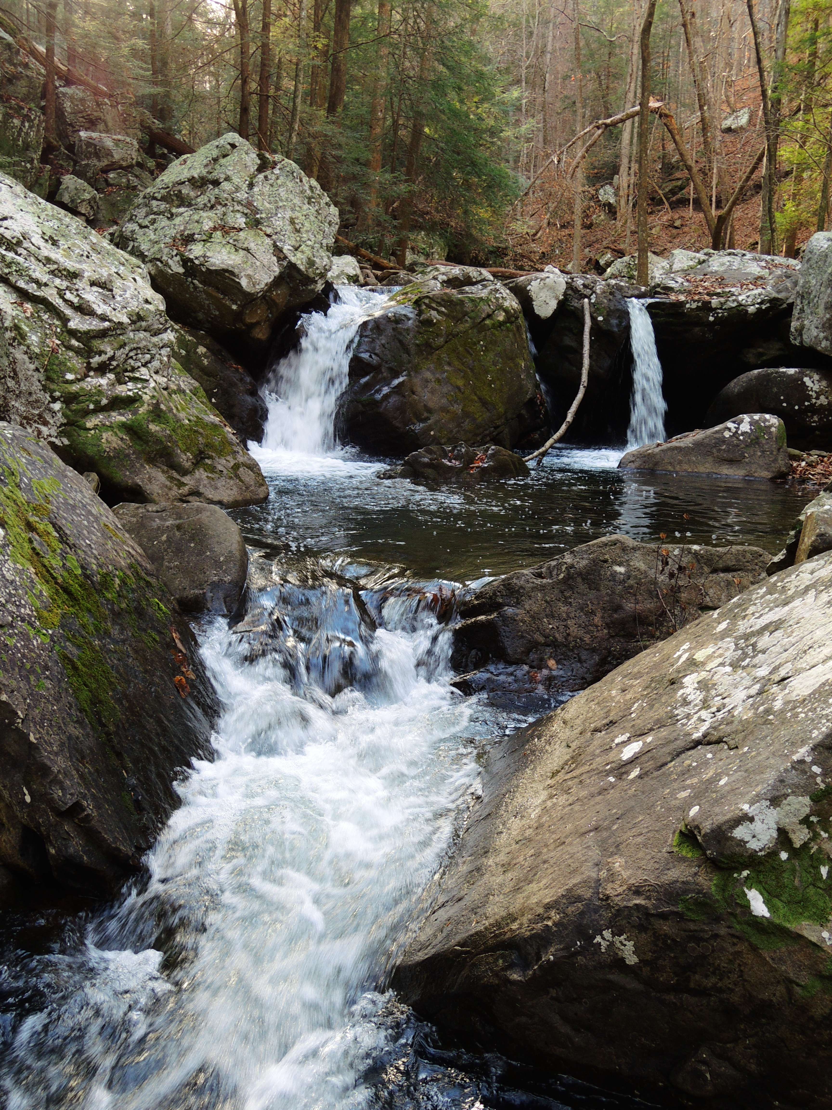 dscn4214w.jpg