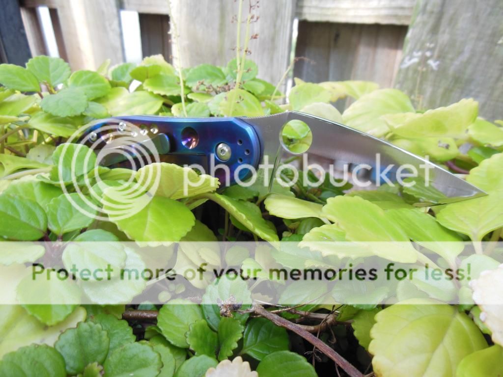 DSCN2224_zpsfx7bwt4u.jpg