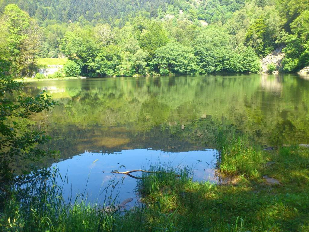DSC_0676.jpg