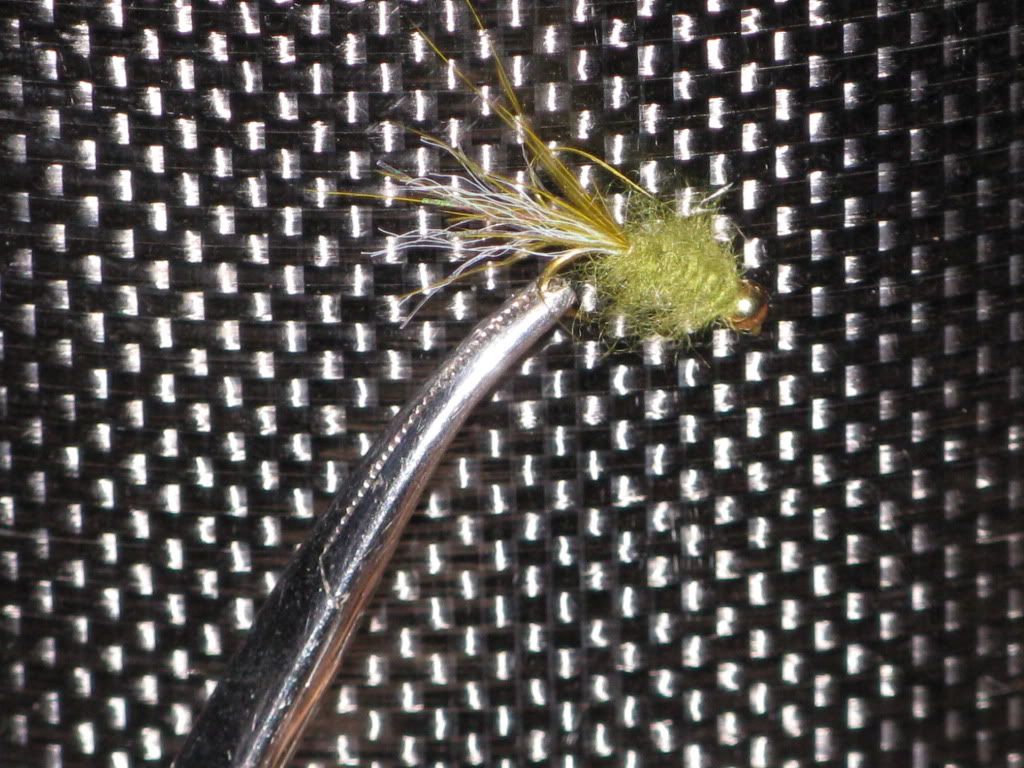 fly5.jpg