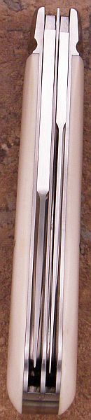 tbose-458ivorymodsaddlhorn3-5.jpg