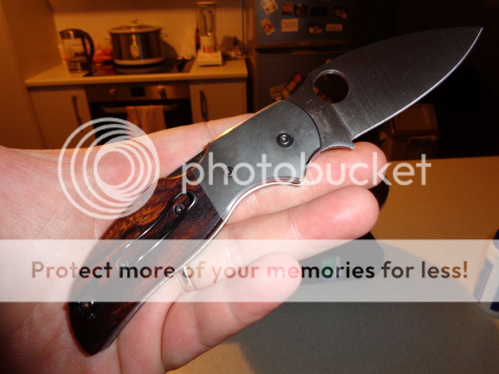 DSC00020_zpscpytizwz.jpg