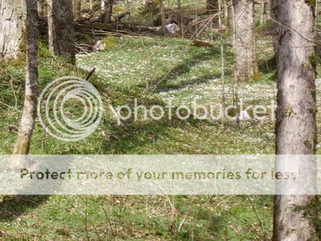 PICT0256.jpg