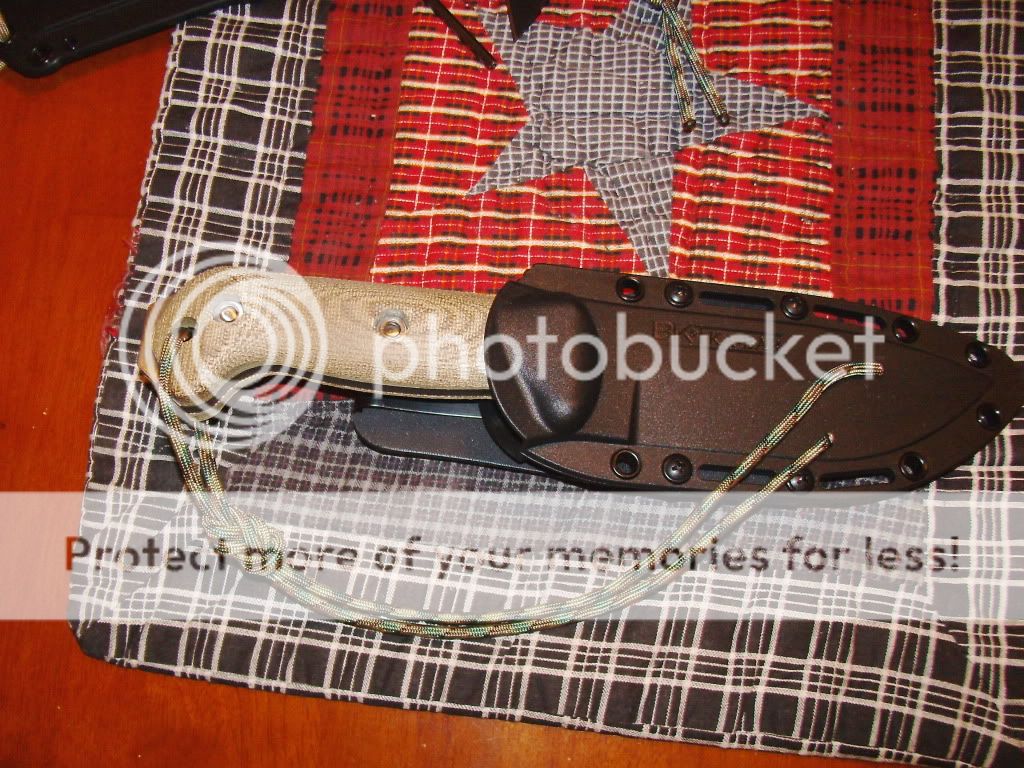 PICT0574.jpg