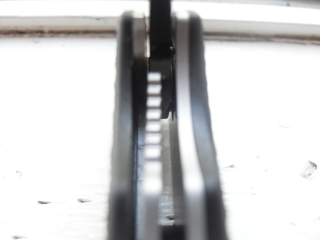 SDC11396.jpg