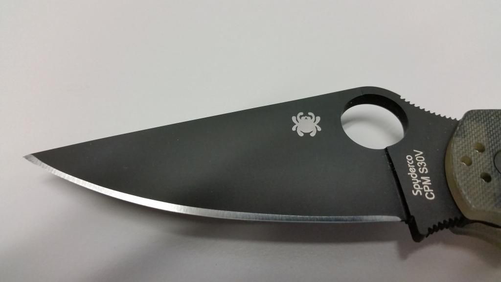 spydercobladefront_zpsnpttydtp.jpg