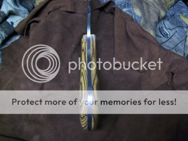100_3951.jpg