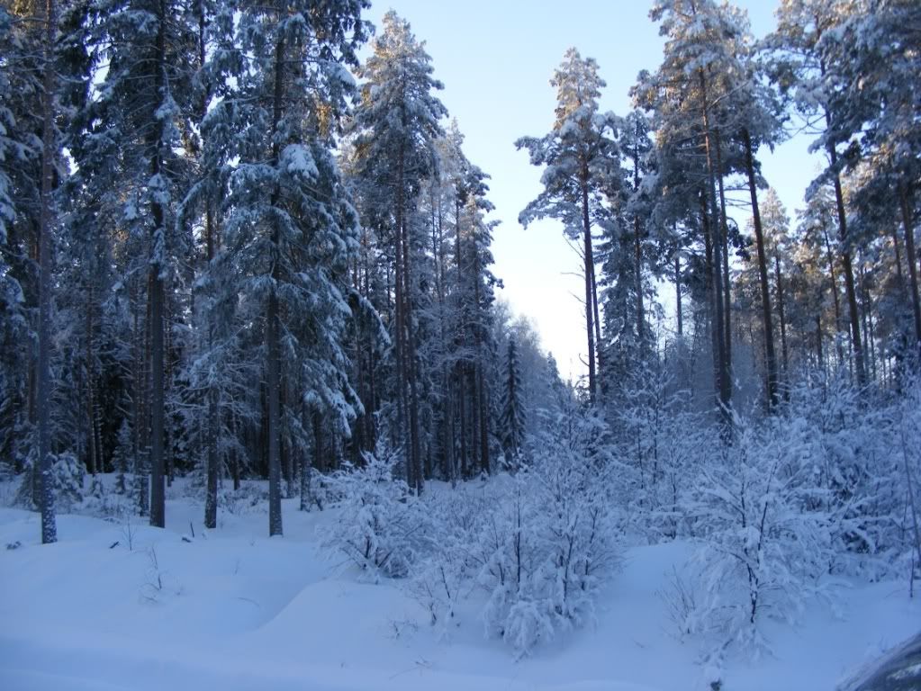 DSCF6754.jpg
