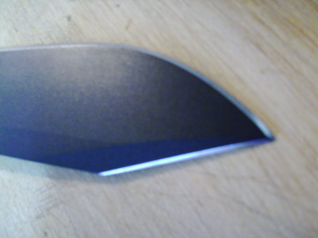PICT0349.jpg