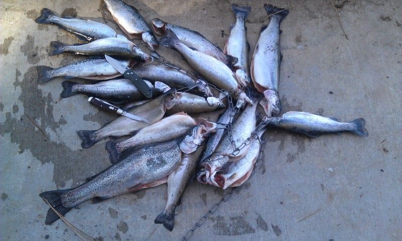 fishin010.jpg
