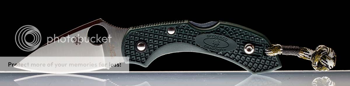 dragon_fly_open.jpg~original
