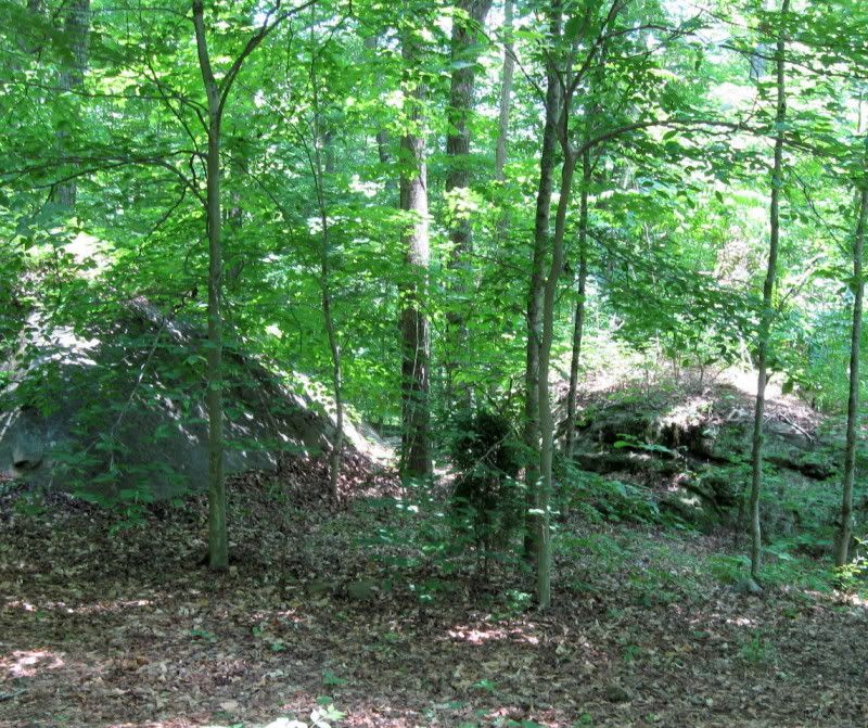 IMG_8004.jpg