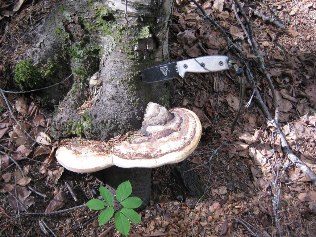 July032010045.jpg
