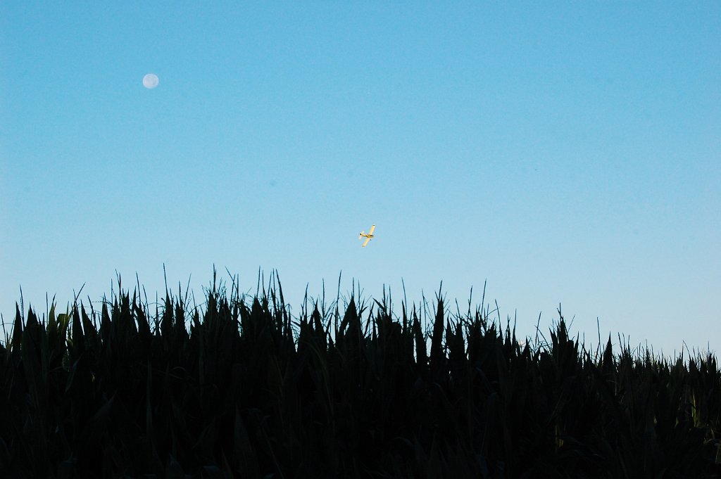 DSC_3116.JPG
