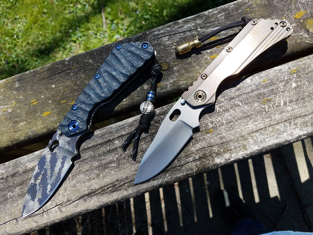 Strider_REKs_5_5_17.jpg