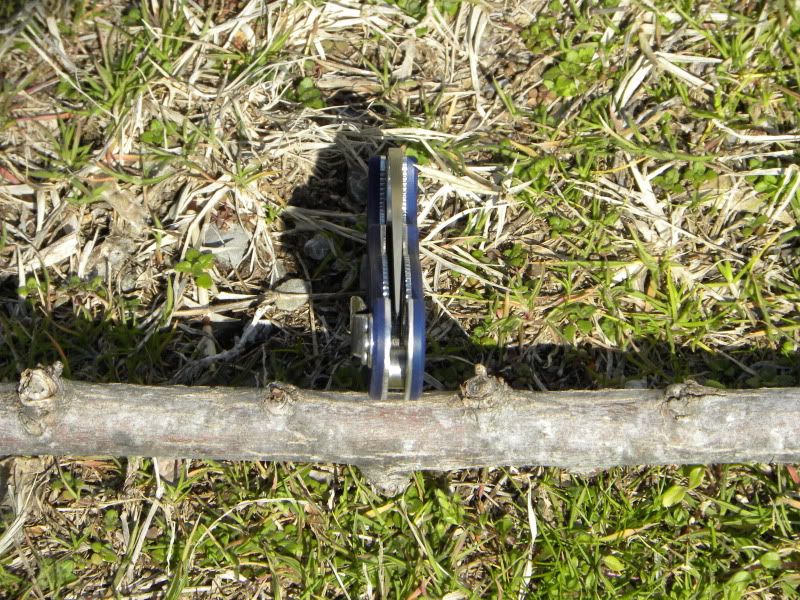 DSCN6974.jpg