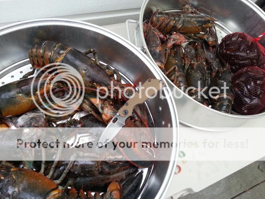 20140709_190438.jpg
