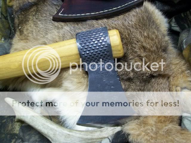 newpics384.jpg