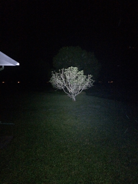 924758e42379fc0adea06fb0998b2ab1.jpg