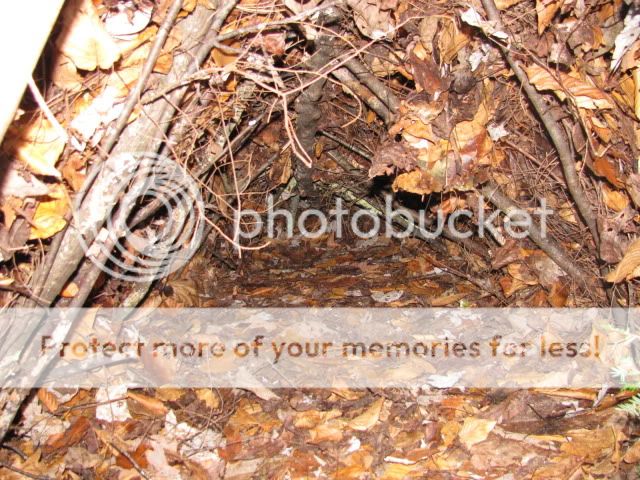 IMG_2053.jpg