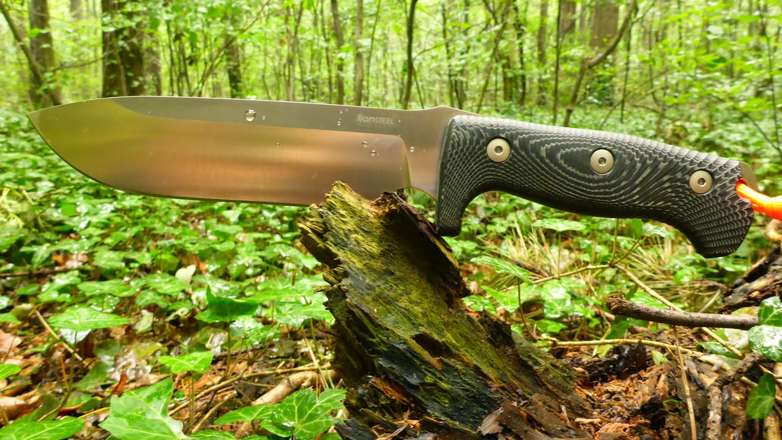 Lionsteel+M7.JPG