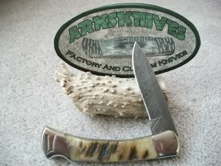 Buck110DamascusDropPointRamHorn1.jpg