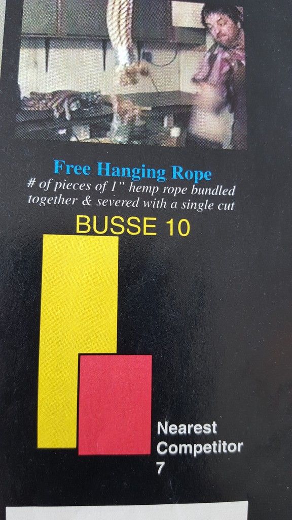 Busse4.jpg