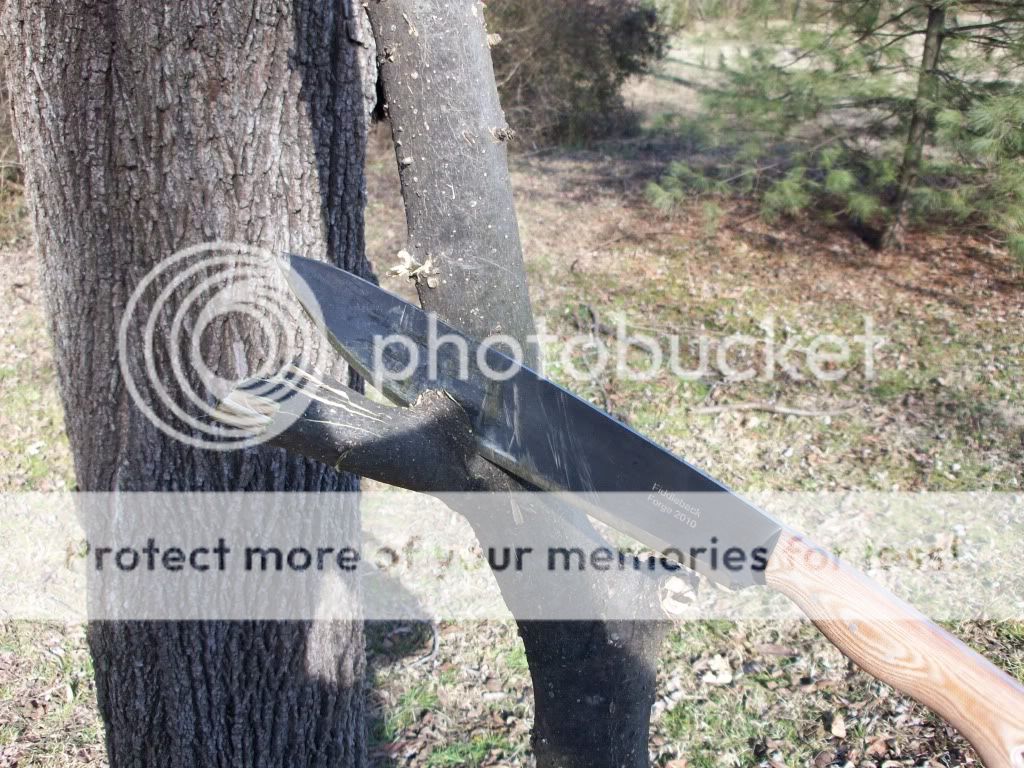 100_1839.jpg